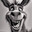 Donkey
