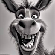 Donkey