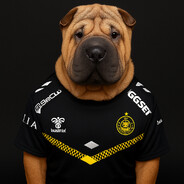 RAFI - steam id 76561199558632329