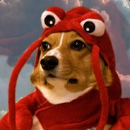 Josh, o Cachorrinho
