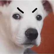 furia666
