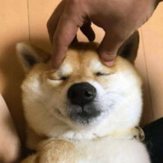 宇宙无敌超级暴龙战士