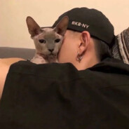 小七