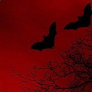 dani - steam id 76561197962412373
