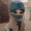 el_doctor_gato