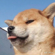 醒亦念卿梦亦念卿