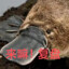 185体育生全国可飞
