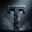 TRAUS