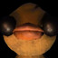 Ducky