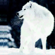 whitewolf