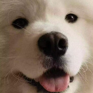 哈气是基米的赞歌