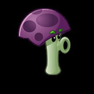 彻底摆烂胆小菇