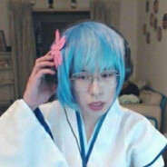 保守派 芙蓉王源