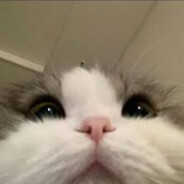 Тайно_Дёрнул