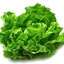 Lettuce