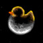 MoonDuck