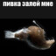 главный в дурдоме