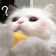 麻烦给我个放大镜