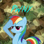 Pwny