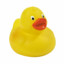 Rubby Dubby Quack Quack