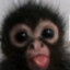 seqque21_plw