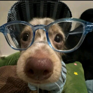 鼻子顶豆 舌头翻肉