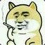 滚开我很烦