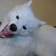 DamDurty - steam id 76561197961813123