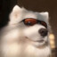 GEORGEWU
