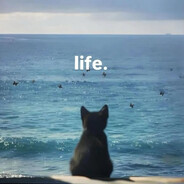 LIFE