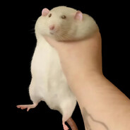 ratthew