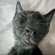 翻斗花园狙击魅魔小美