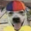 Harvey
