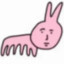 nmsl