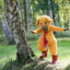 bamse