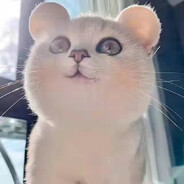 哈基米~南北绿豆