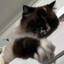 rtwo