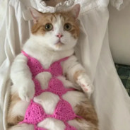 帅凡凡天下无双