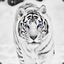 ✪ enemyz-