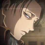 Levi