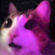 私はマーシャが大好き