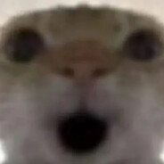 还吃收你的来了