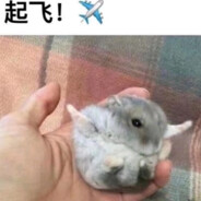 重生之变成阿奈饿死