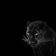 MBBodor - steam id 76561199826481802