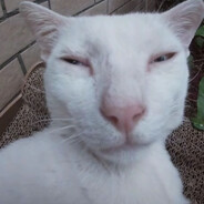 打焦恶魔再重处