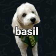 Basil