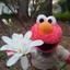 elmo on mushrooms