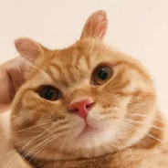 像冷冰