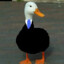 SillyGoose