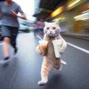 饭都花园胡图图